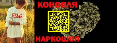 стаф Будённовск