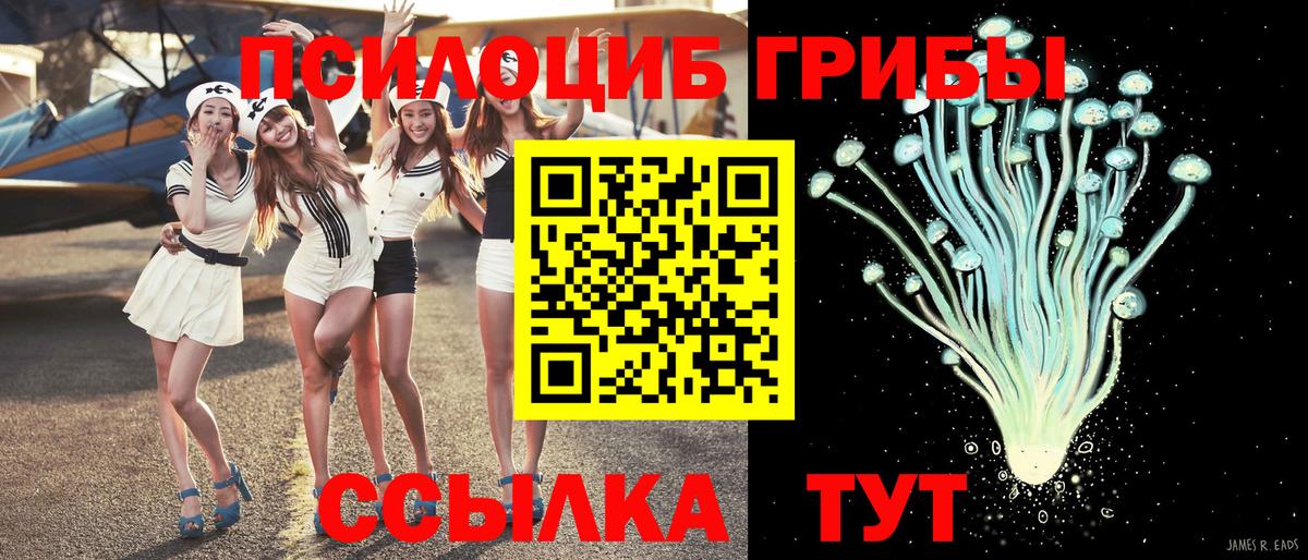 Светлоград  Галлюциногенные грибы Magic Shrooms  даркнет сайт  Вход с VPN 