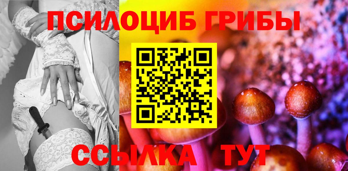 Псилоцибиновые грибы Psilocybine cubensis Светлоград
